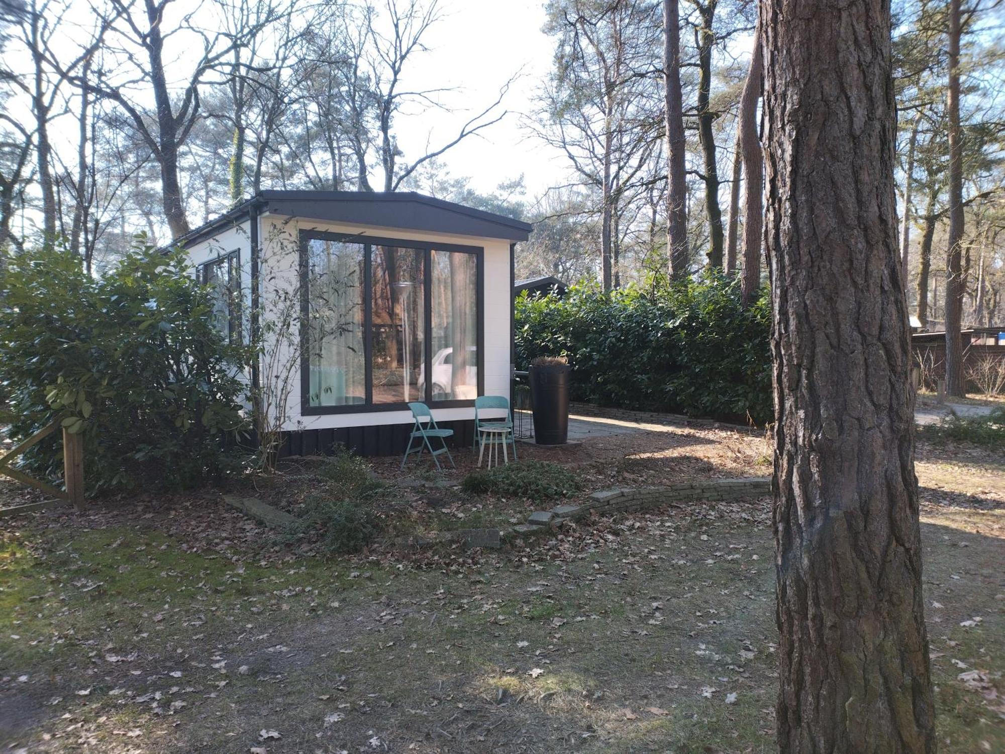 Wulft 47 Zonnig Gezellig 6P Chalet Met Zwembad In Bosrijke Omgeving Op Familie Camping De Vossenburcht IJhorst Exteriör bild
