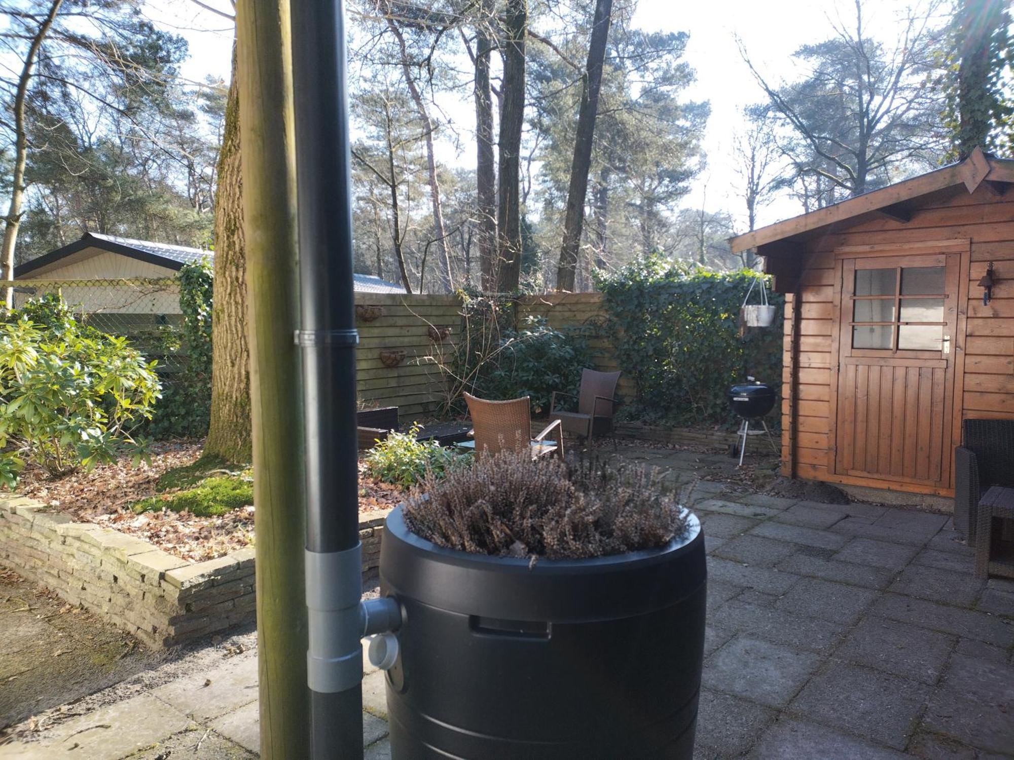 Wulft 47 Zonnig Gezellig 6P Chalet Met Zwembad In Bosrijke Omgeving Op Familie Camping De Vossenburcht IJhorst Exteriör bild