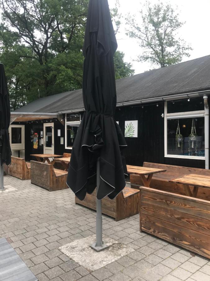 Wulft 47 Zonnig Gezellig 6P Chalet Met Zwembad In Bosrijke Omgeving Op Familie Camping De Vossenburcht IJhorst Exteriör bild