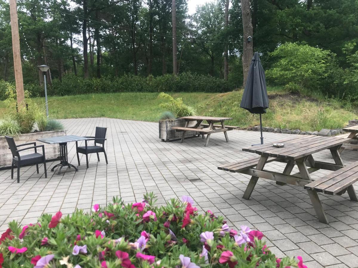 Wulft 47 Zonnig Gezellig 6P Chalet Met Zwembad In Bosrijke Omgeving Op Familie Camping De Vossenburcht IJhorst Exteriör bild